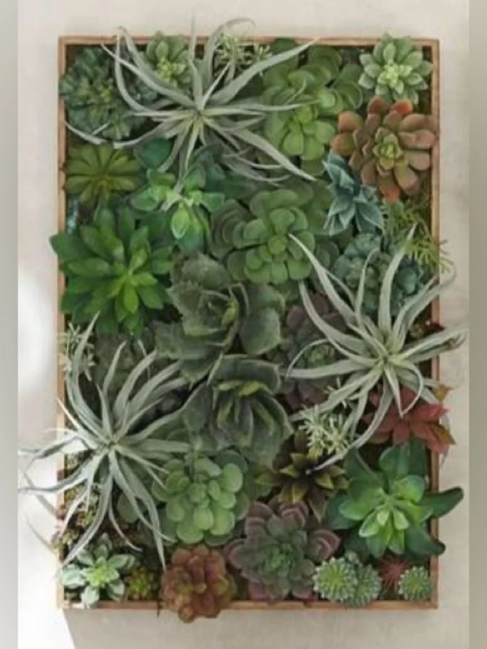 POTTERY BARN Faux Succulent Decor ($399+ retail!)